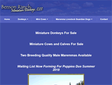 Tablet Screenshot of bensonranch.com